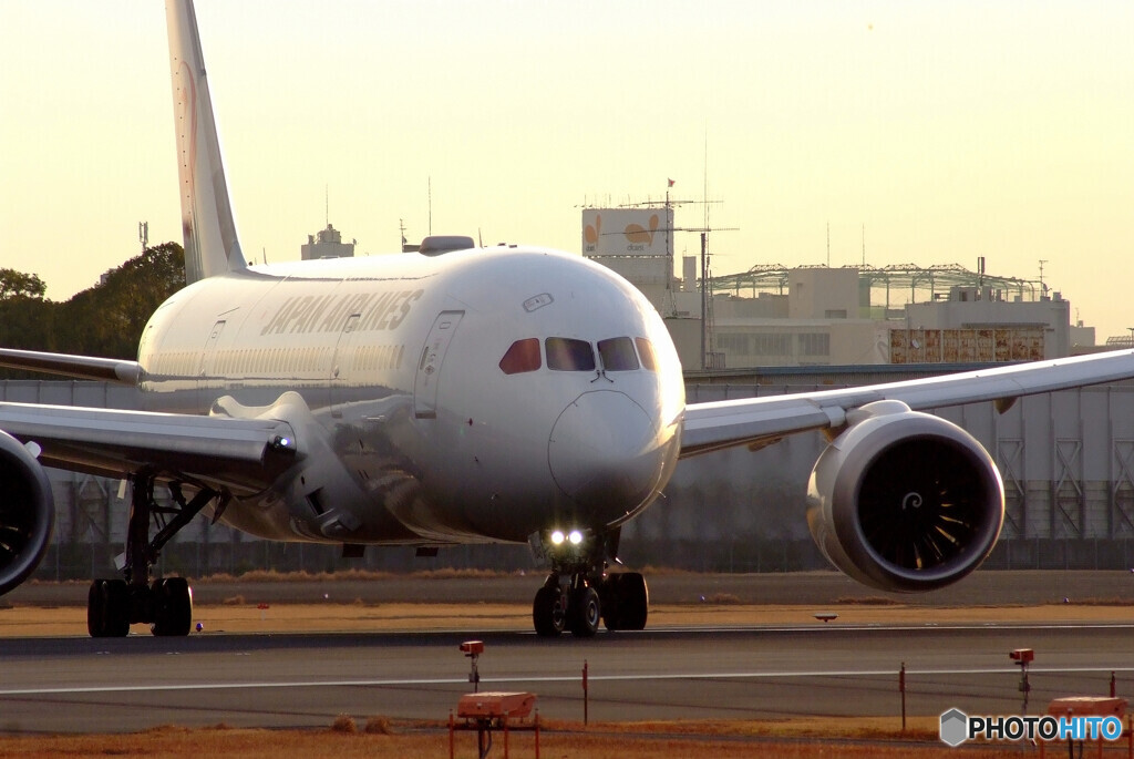 Morning time✈787-8 Dreamliner