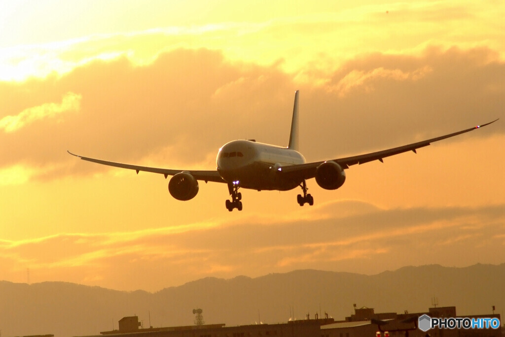 January TravelerⅩ★飛翔 JAL