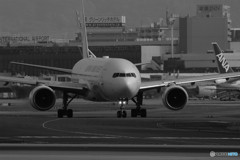 旅たちの朝・JAL