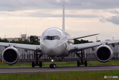 俺の旅へ2021✈JA08XJ