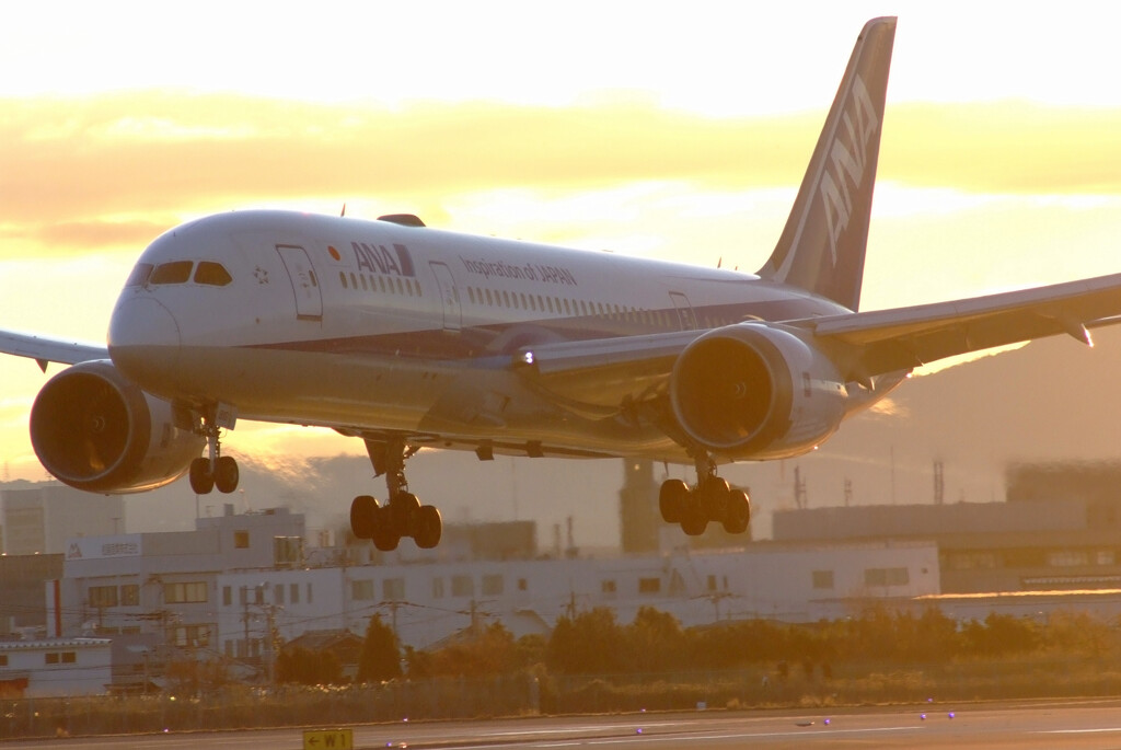 輝く朝2026✈Boeing787-8