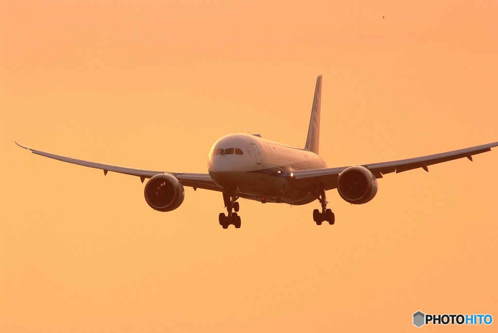 私のハートに火をつけた・787