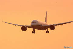 私のハートに火をつけた・787