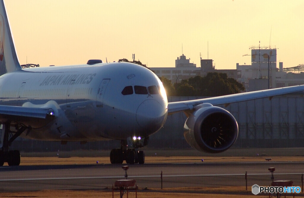 煌めき✈787-8 Dreamliner