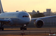 煌めき✈787-8 Dreamliner