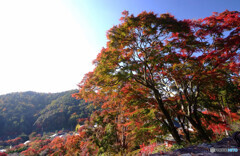 星屑の紅葉Ⅲ✿癒しの時間