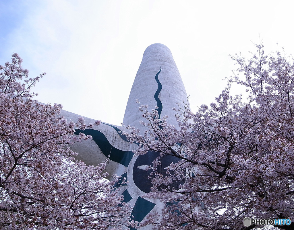 桜だ！爆発だ！