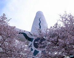 桜だ！爆発だ！