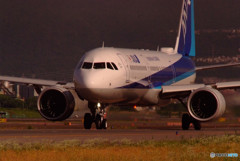 6月の空へ翔べ・Ⅱ