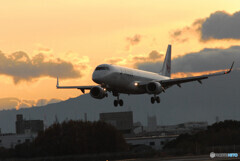 HARADAの朝✈JAL Embraer
