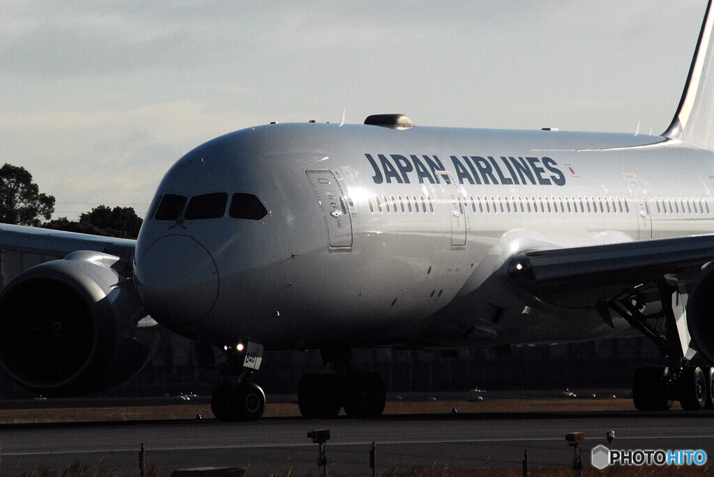 流線形Ⅱ2022✈787-8Dreamliner 