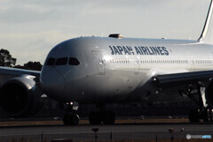 流線形Ⅱ2022✈787-8Dreamliner 