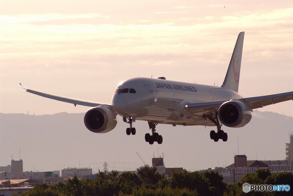 Sunday morningⅡ✈Boeing787-8