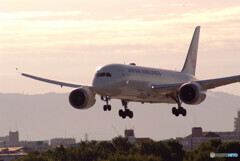 Sunday morningⅡ✈Boeing787-8