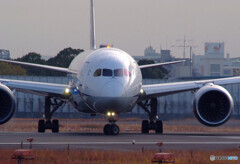 12月の旅路✈Dreamliner