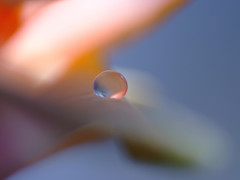 愛しき惑星・雫（Ⅱ）