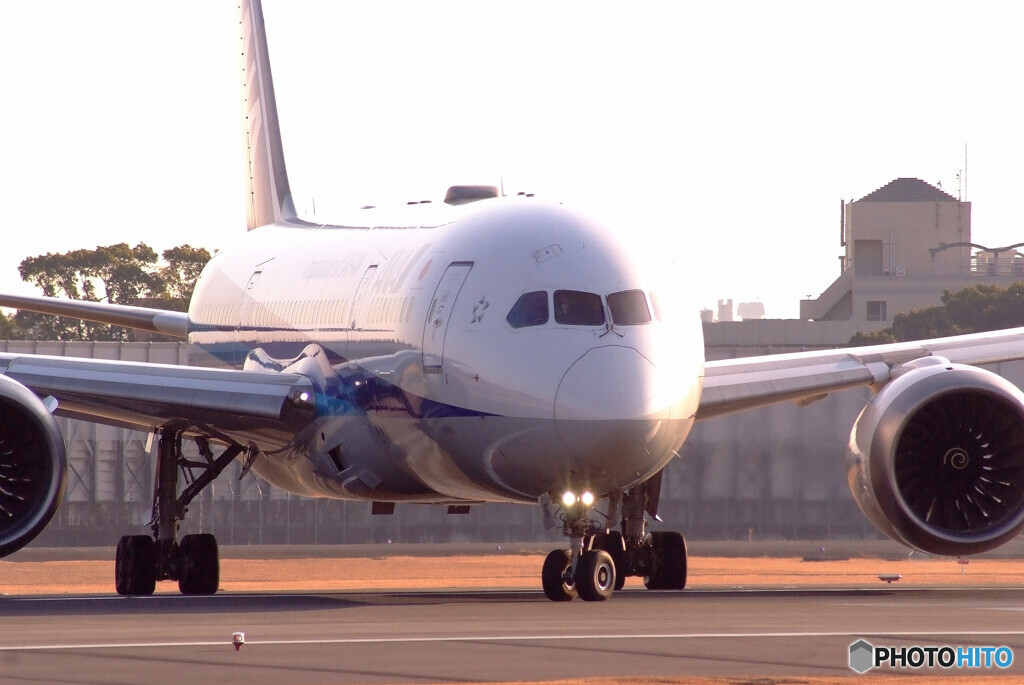 NextStageⅣ✈787-8 Dreamliner