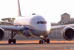 NextStageⅣ✈787-8 Dreamliner