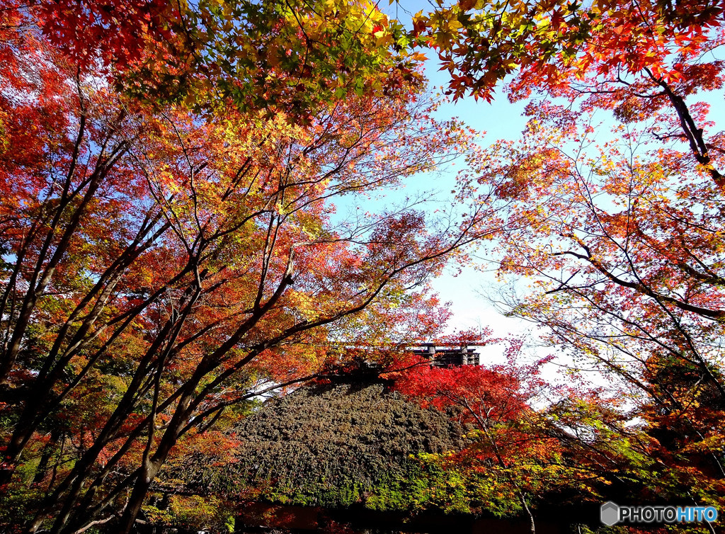 奥嵯峨の宴