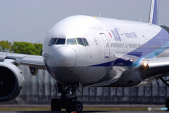 大空へ飛べ!・(Ⅷ) 大空へ飛べ!・(Ⅷ)