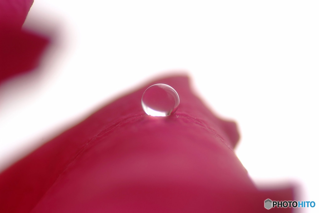 やさしい光につつまれて・雫