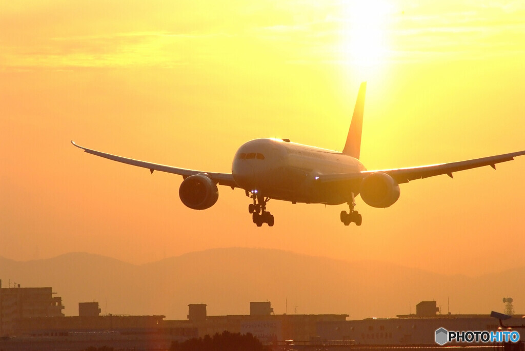 January beauty✈2022翼