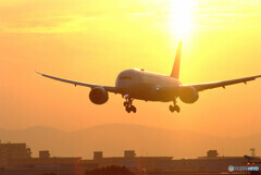 January beauty✈2022翼