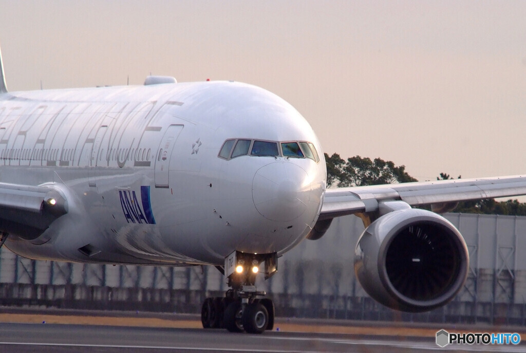 1月の空へ✈Star Alliance Livery