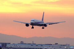 鮮やかに美しく★Boeing 767