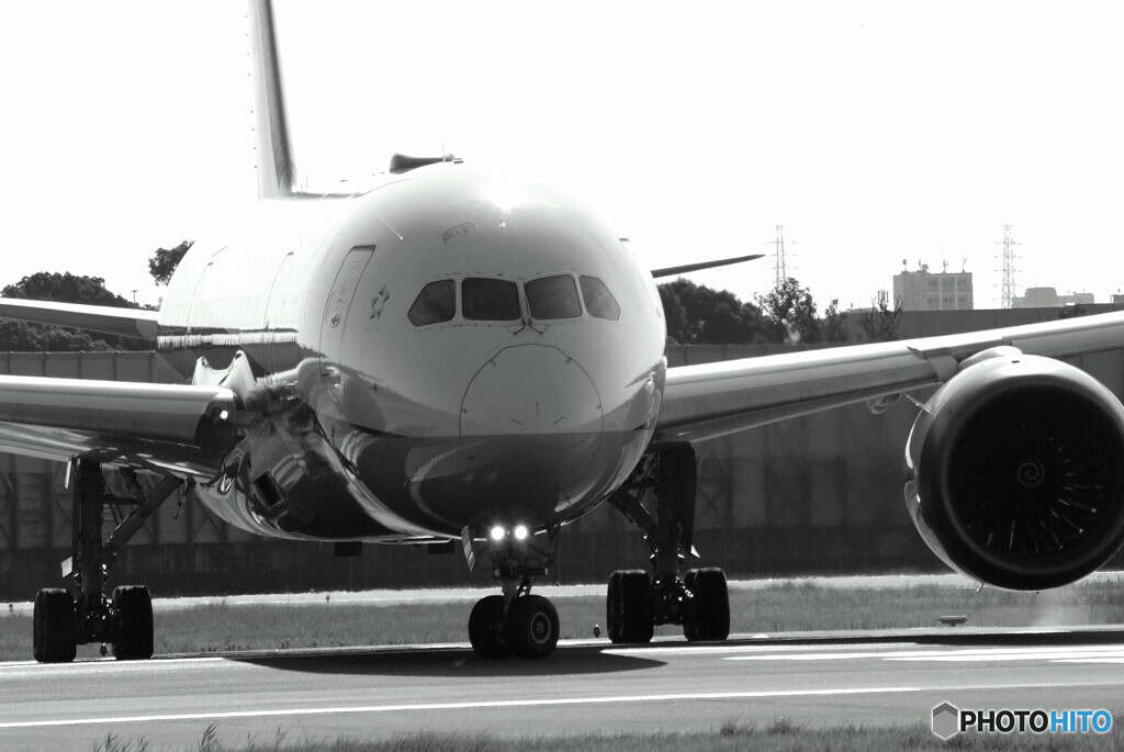 B/Wの世界へ✈Boeing787-8