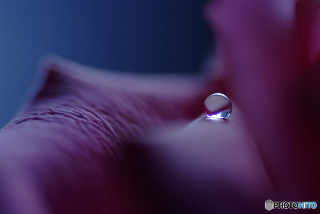 SILENT✿心静かに