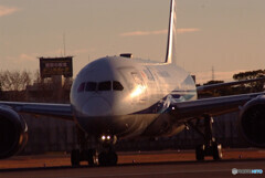 PRIDE✈Boeing787-8