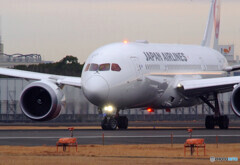 旅立ちの朝・787Dreamliner