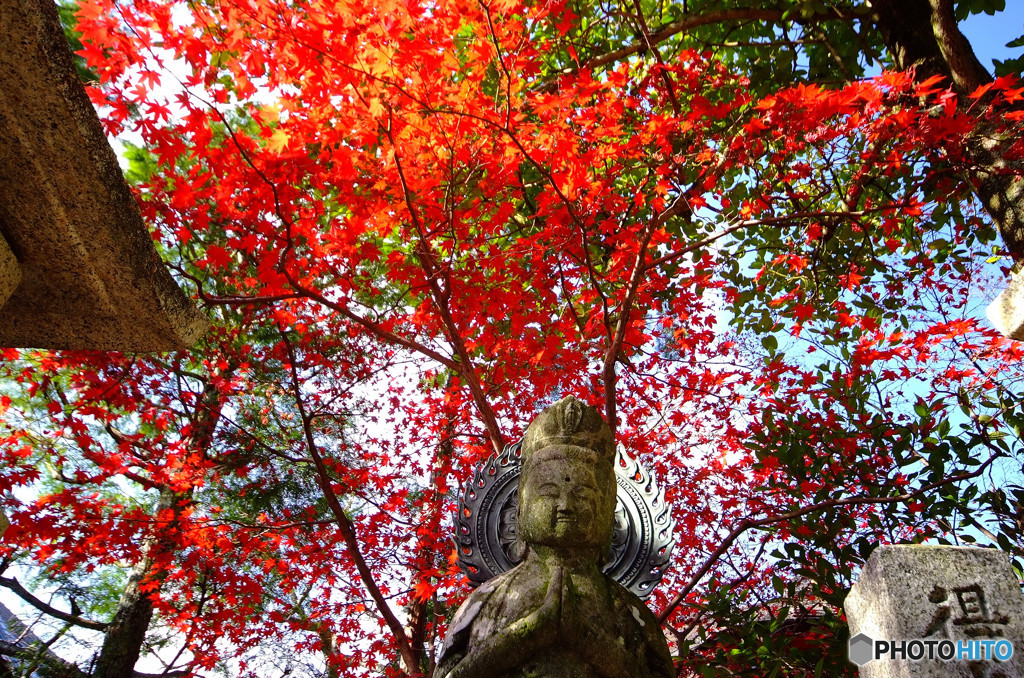 仏と紅葉