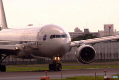 ギラギラした夏✈JA752J