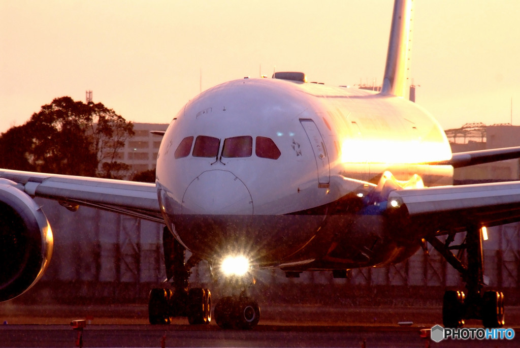 Meeting of Fate・787