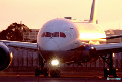 Meeting of Fate・787