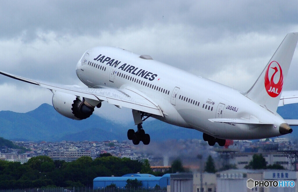 雨上がりのSky Park ✈Boeing 787-8