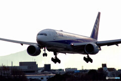 February morningⅧ★Boeing 777-200