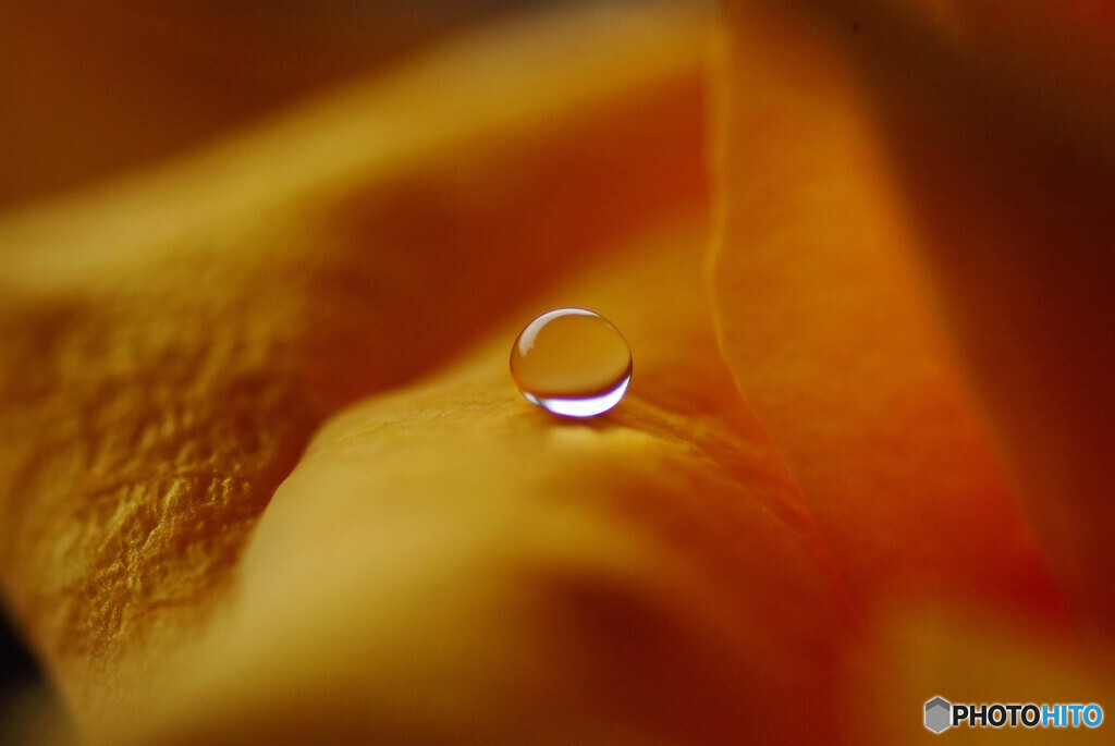 You're my only Shinin' Star