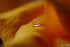 You're my only Shinin' Star