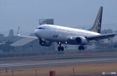 HARADAの朝★ANA Boeing 737-800 