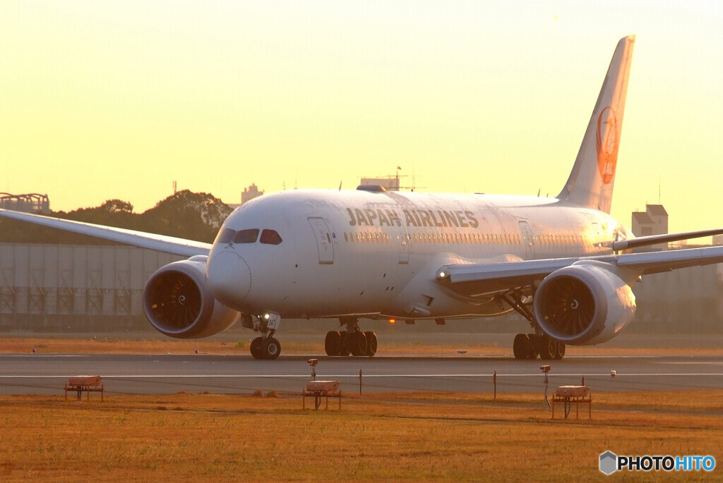 December MorningⅧ✈JAL Dreamliner