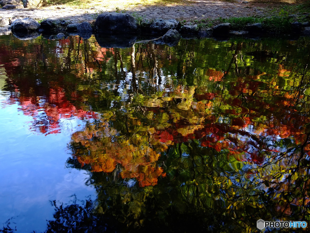 映り紅葉