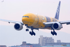 振り向けば沢庵Jetだよ！