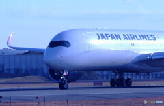 蒼が飛ぶ✈JA11XJ