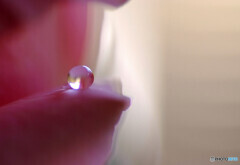 神無月の詩・雫