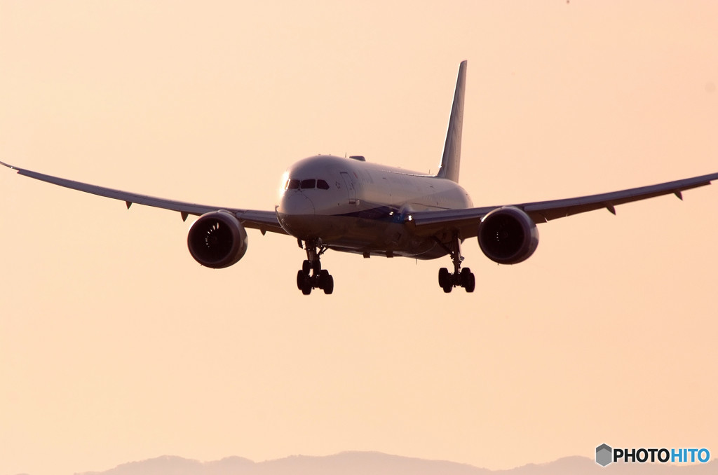 Beautiful MorningⅧ・787