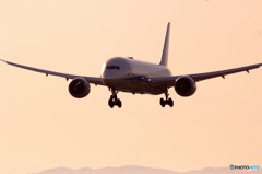 Beautiful MorningⅧ・787