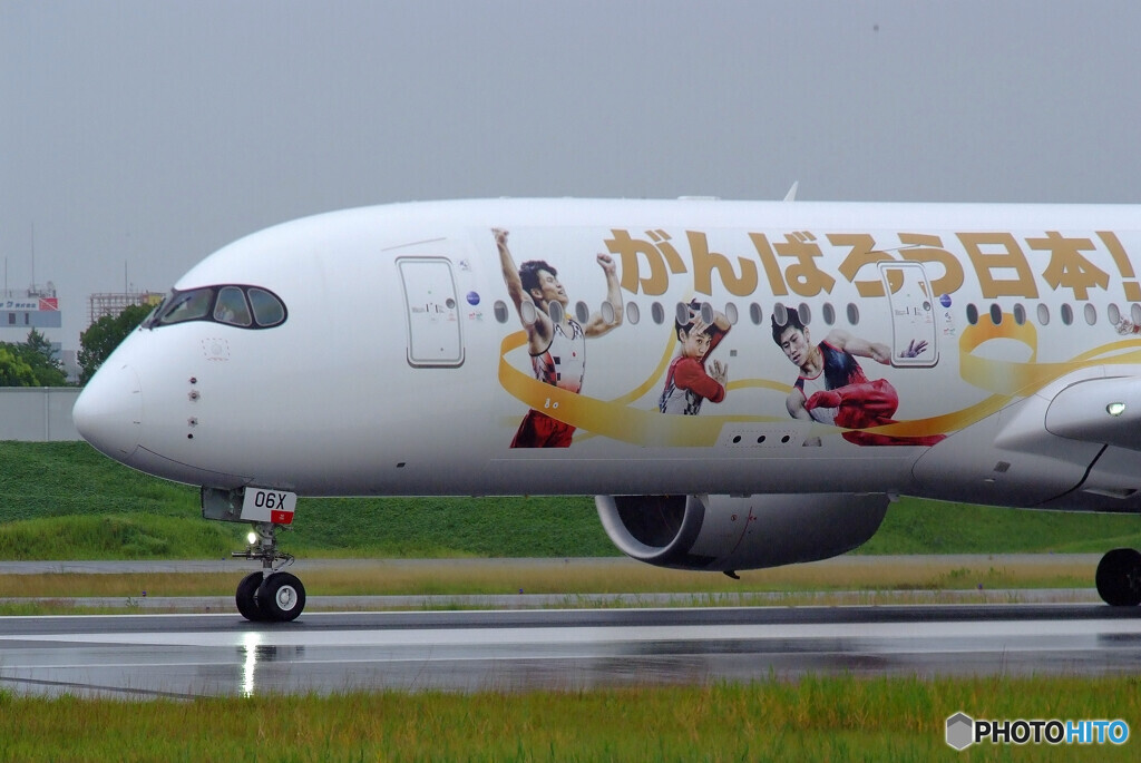 雨のAirportⅡ✈JA06XJ